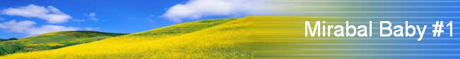 Mirabal Baby #1